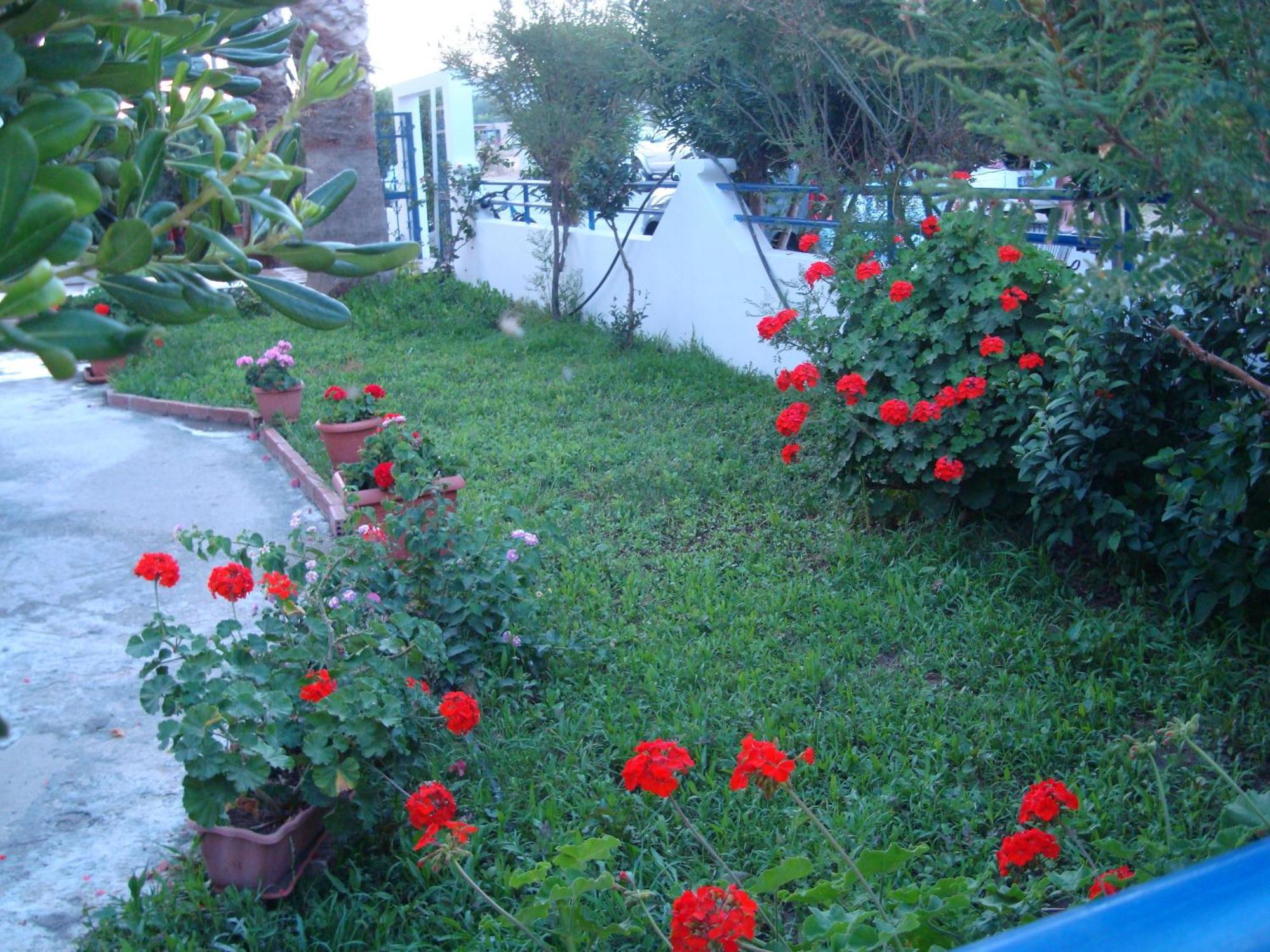 Philippos Studios & Apartments Kardamena  Εξωτερικό φωτογραφία